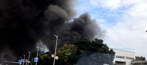 西湖爆料冲突事件最新,一场突如其来的争执引发社会关注